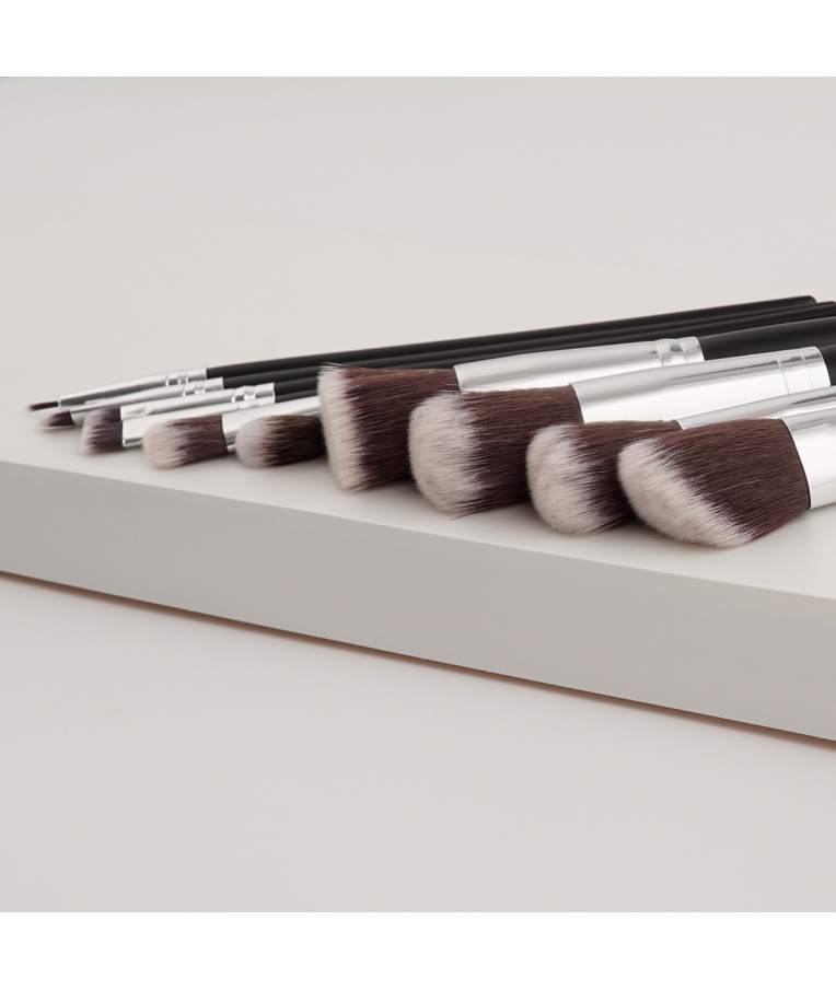 Набор кистей для макияжа, 10 шт. Brushes for make-up Daily Use